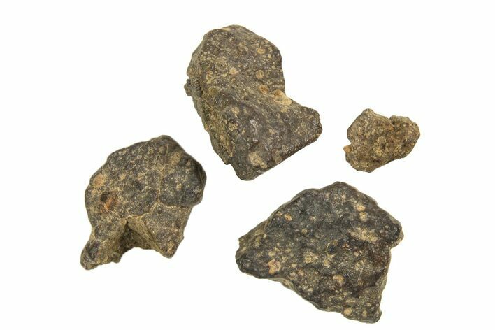 Four Abadla CM Chondrite Meteorite Fragments ( g) - Algeria #313106